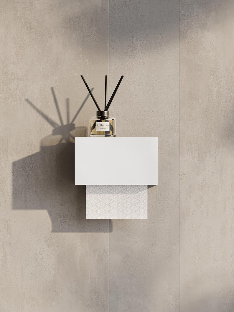 Wall-Mounted Steel Tissue Holder  Closed Design